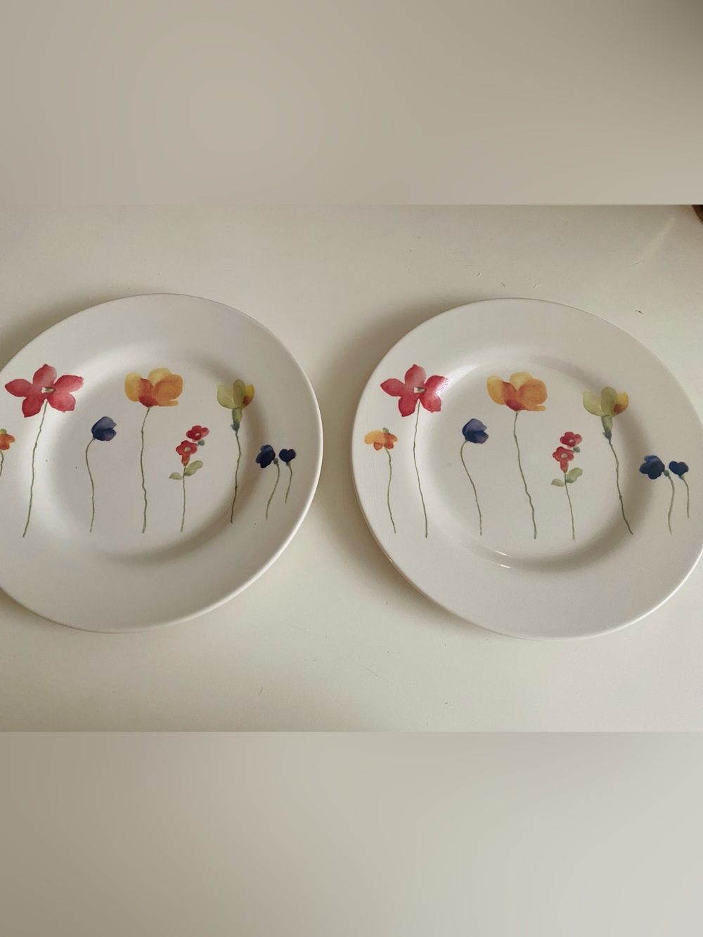 Royal Stafford White DessertPlates with Colorful Watercolor Flowers  Set of 2